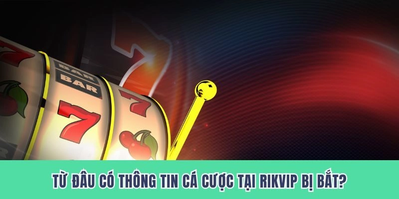 Những tin đồn về tham gia RIKVIP bị bắt có nguồn gốc từ đâu?